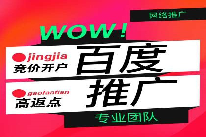 深度解析百度推广代运营公司的成功策略与技巧